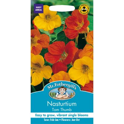 Nasturtium Tom Thumb  
