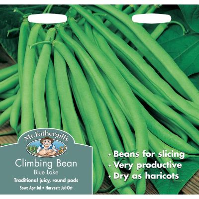 Climbing Bean (Blue Lake)