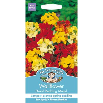 Wallflower Dwarf Bedding Mix  