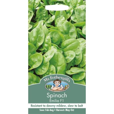 Spinach Emilia F1  