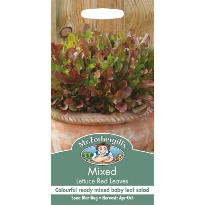 Mixed Lettuce (Red Leaves)