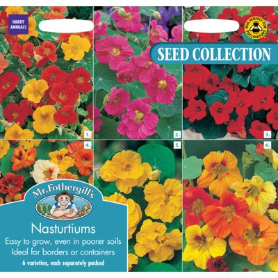 Nasturtium Collection  