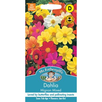 Dahlia Mignon Mixed 