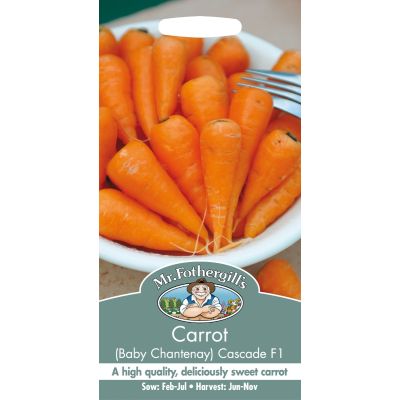 Carrot (Baby Chantenay/Cascade F1)