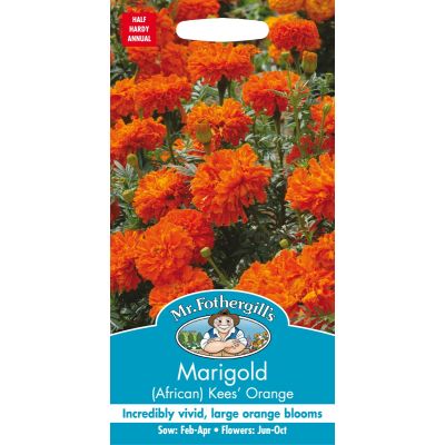 Marigold Kees Orange  