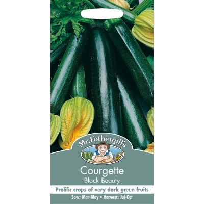 Courgette (Black Beauty)