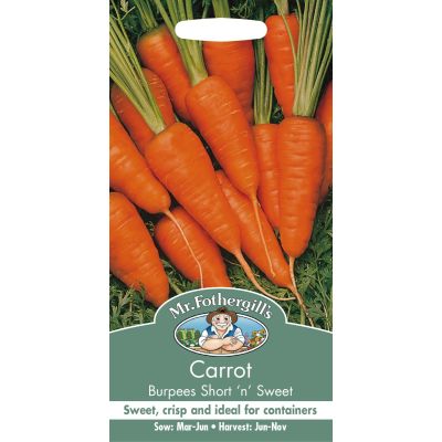 Carrot (Burpees Short 'n' Sweet)