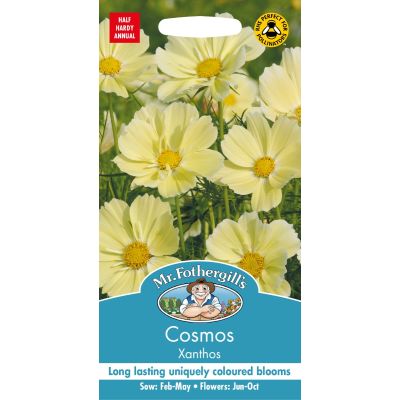 Cosmos Xanthos 