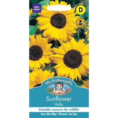 Sunflower Hallo  