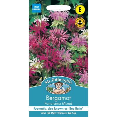 Bergamot flowers in the garden