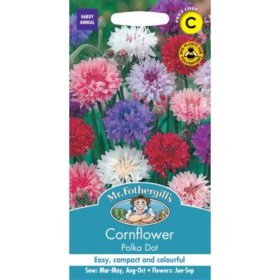 Cornflower Polka Dot  