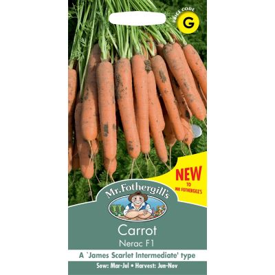 Carrot Nerac Fi 