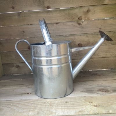 Galvanised Watering Can