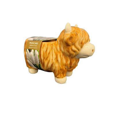 Mint Indoor Highland Cow Planter
