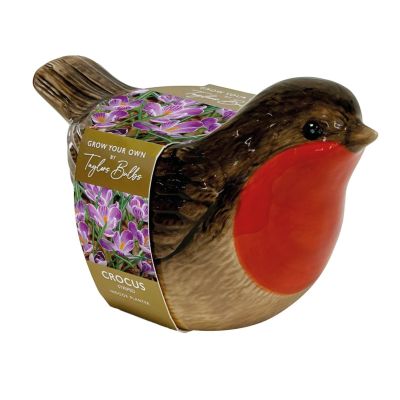 Striped Crocus Indoor Robin Planter
