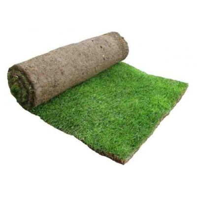 Turf Rolls