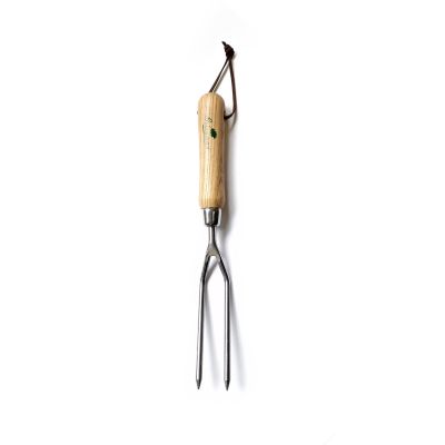 Stainless Steel  2 Prong Weed Fork