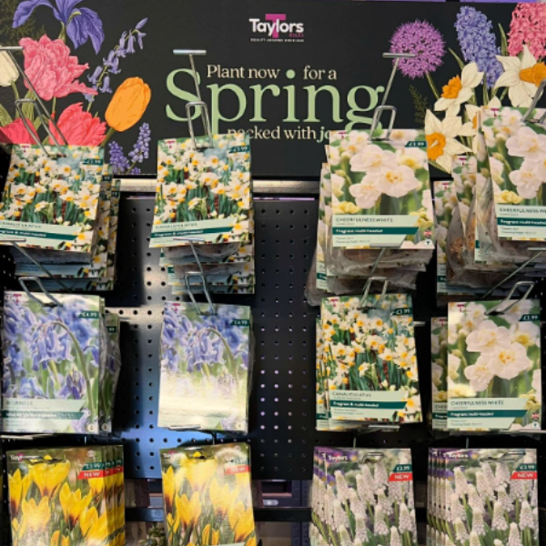 The Complete Guide to Planting Bulbs in Scotland: When, Where and How