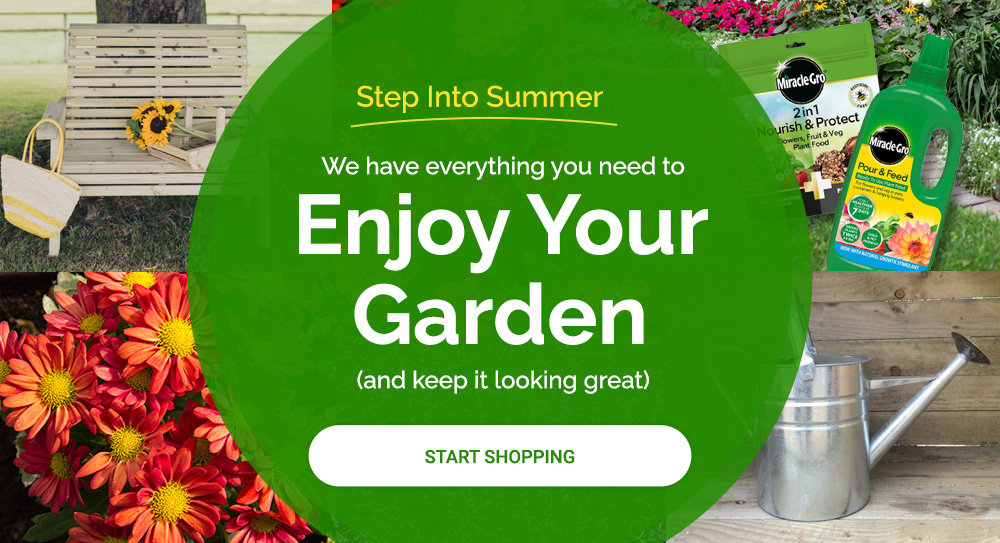 Step Into Summer