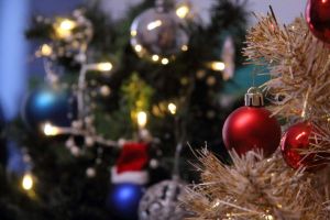 pexels-sergio-raffa-325143911-34220385_1